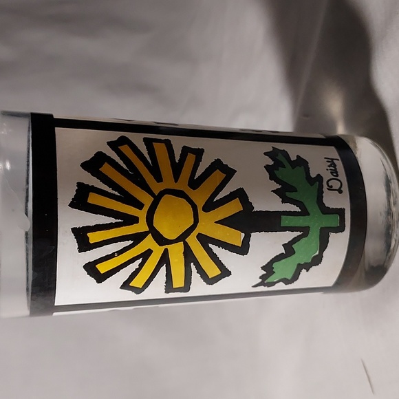 Vintage Drinking Glasses Set of 2 - Daisy Design & The Buggy Design - Picture 8 of 8